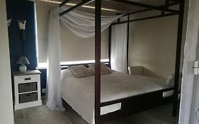 Quiet Place With Garden Studio Apartment